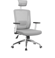 Captura de Pantalla 2025-11-18 a la(s) 5.04.01 p. m. Silla Delphi II gris marco gris