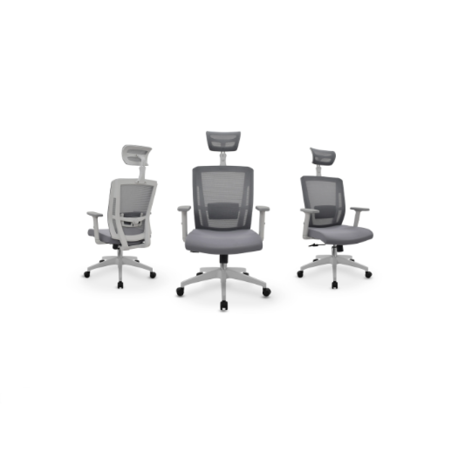 Silla de oficina ergonómica Delphi II gris marco gris