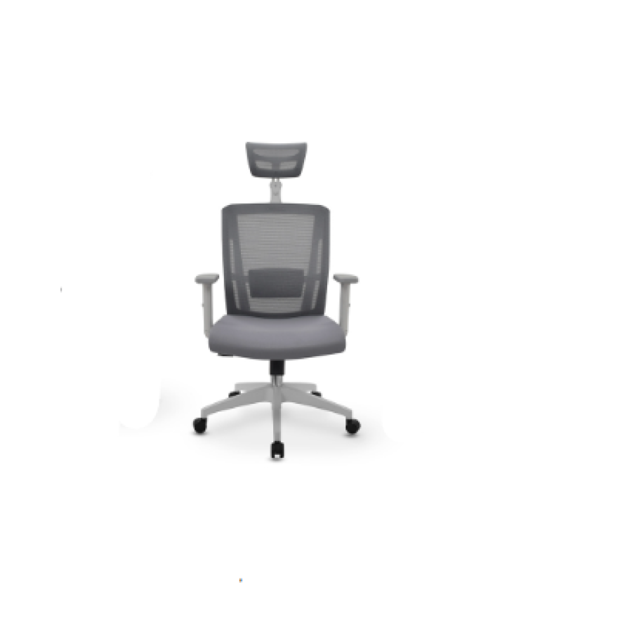 Silla de oficina ergonómica Delphi II gris marco gris