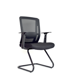 Silla Delphi II Interlocutora