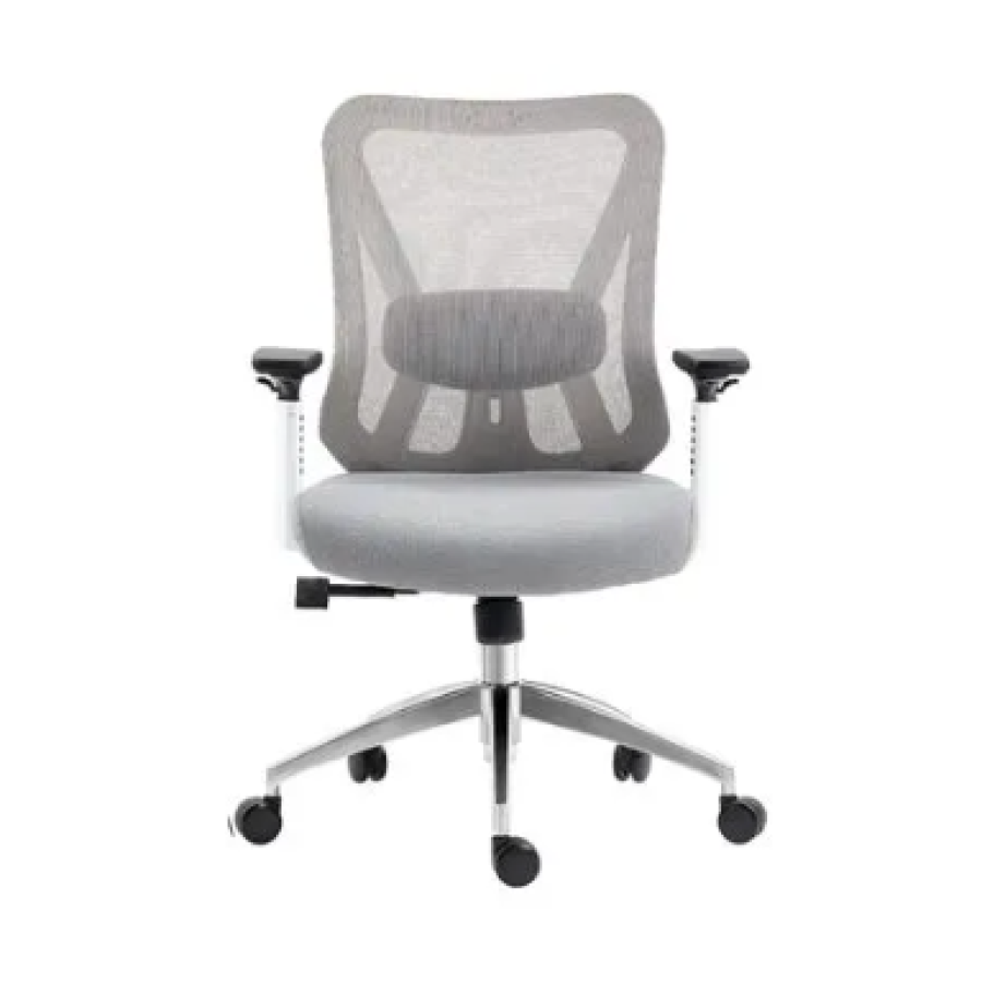 Silla de oficina ergonómica Dolfin Gris