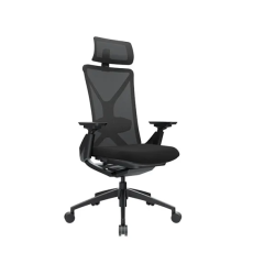 Silla de oficina ergonómica Flex Presidente