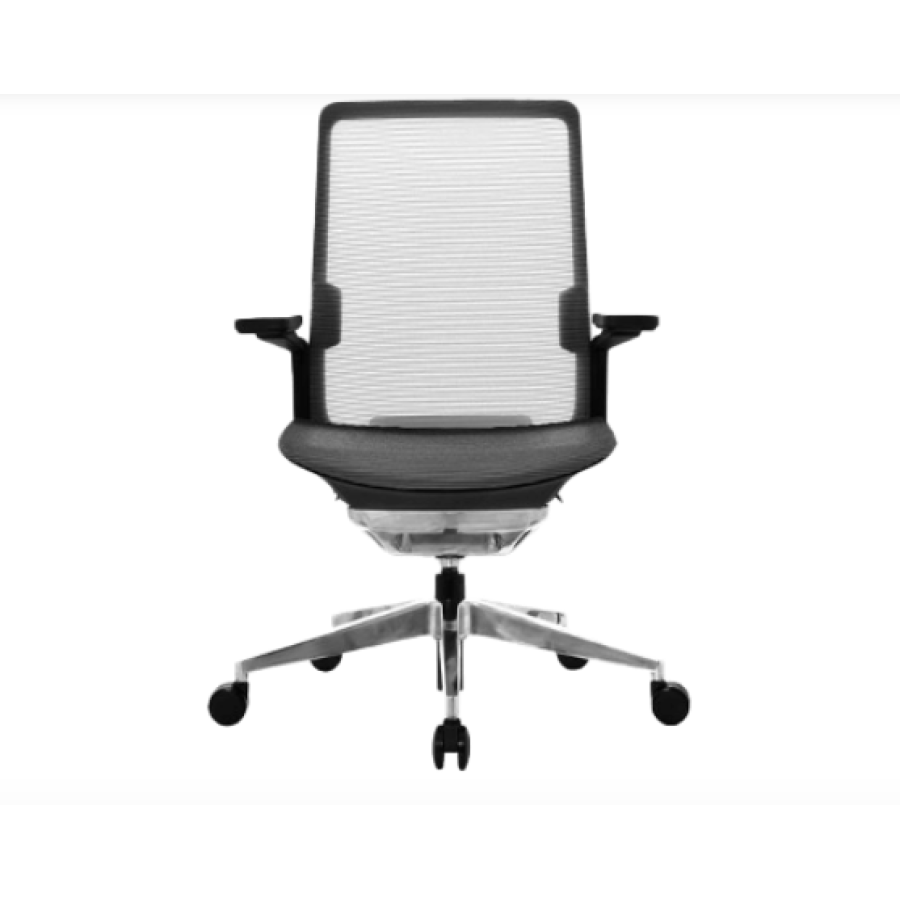 Silla de oficina ergonómica Dream presidente