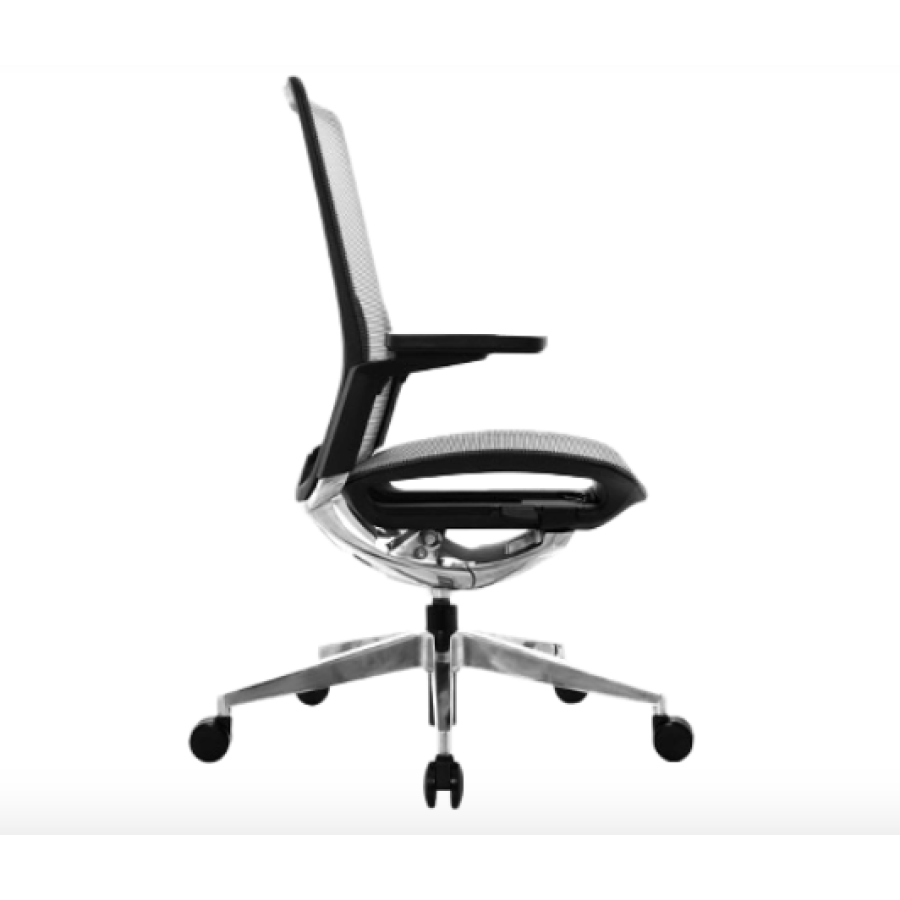 Silla de oficina ergonómica Dream presidente