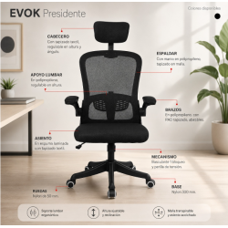 Silla de oficina ergonómica Evok Presidente